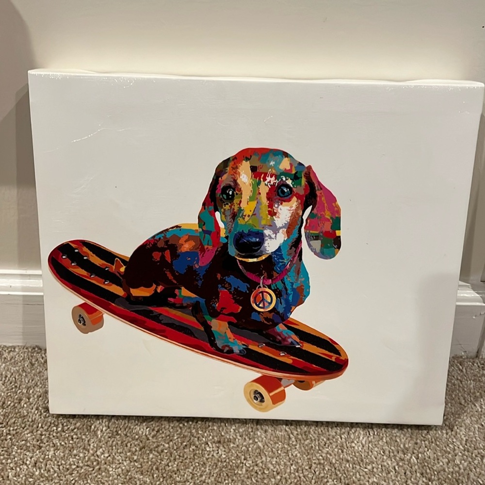 Taz by Alan Lambert Dachshund on Skateboard